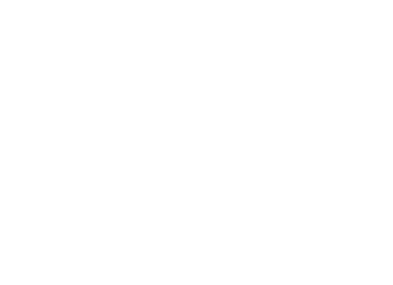 Fabian Academy